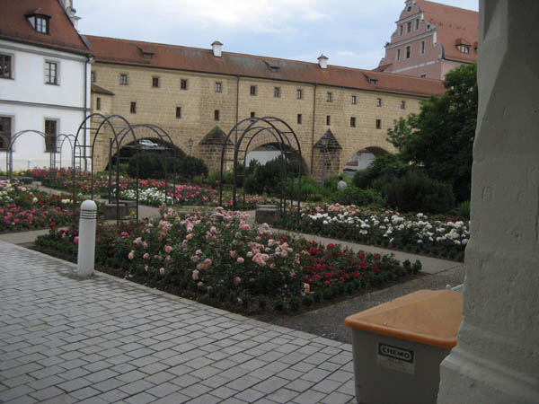 IMG_0013