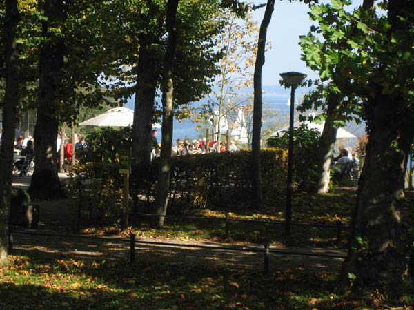 IMG_0701